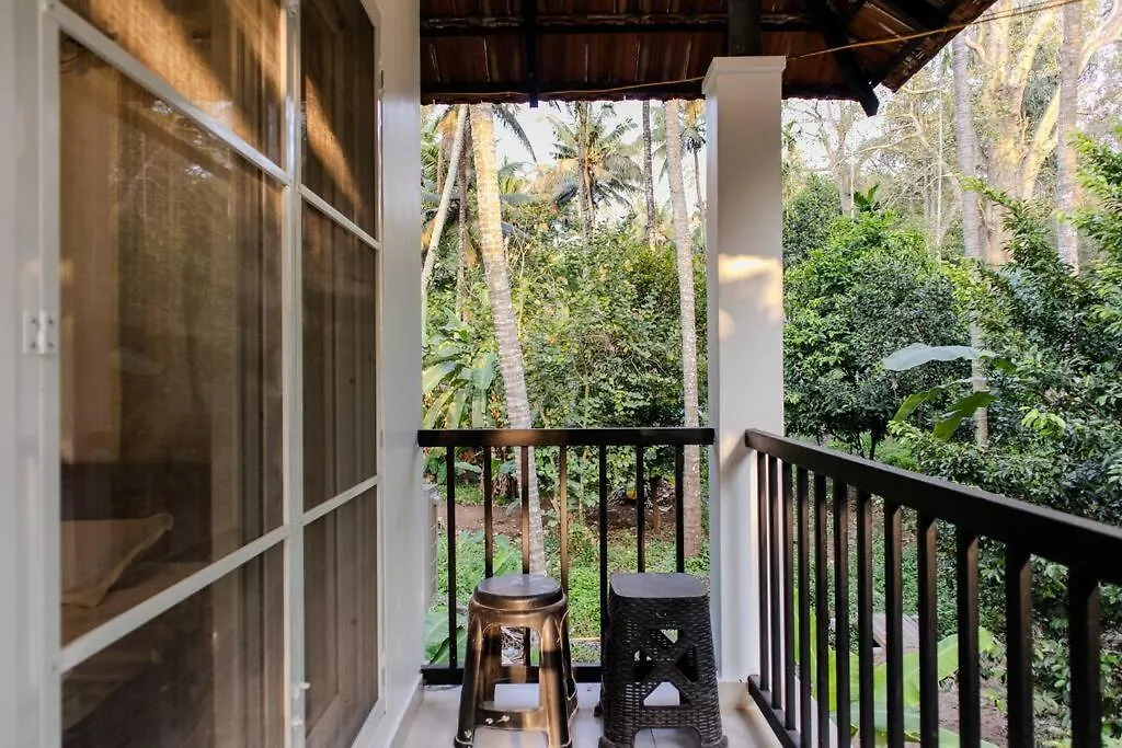 Secluded Forest Escape, Peechi Pattikad